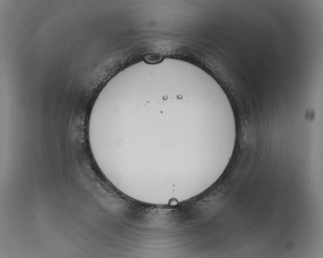 X0000111520497200908111206