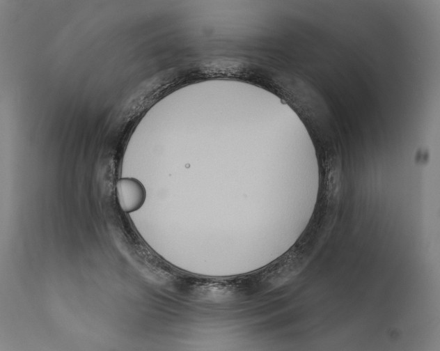 X0000111520498200908111206