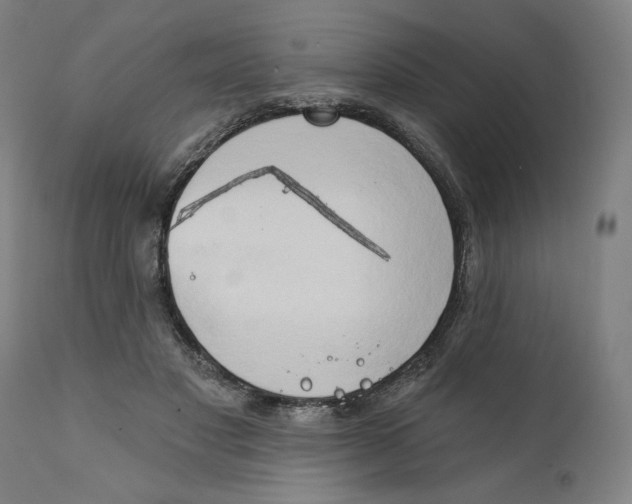 X0000111520501200908111206