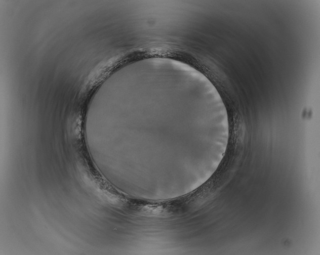 X0000111520502200908111206