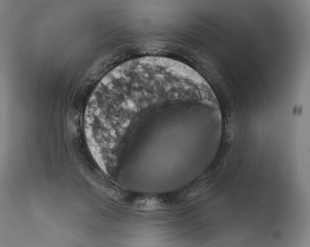 X0000111520503200908111206