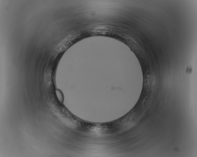 X0000111520504200908111206