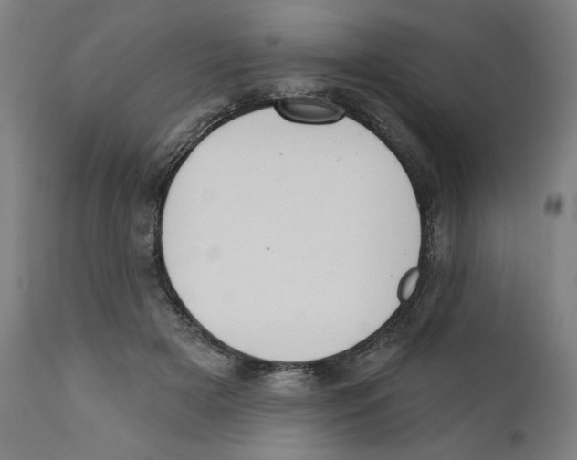 X0000111520505200908111206