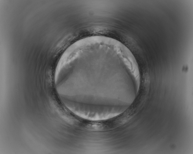 X0000111520506200908111206