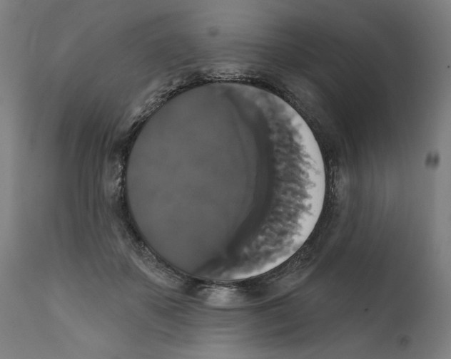 X0000111520507200908111206
