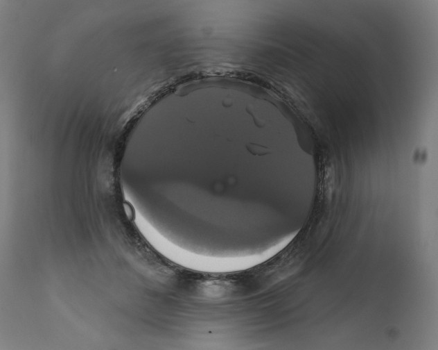 X0000111520508200908111205