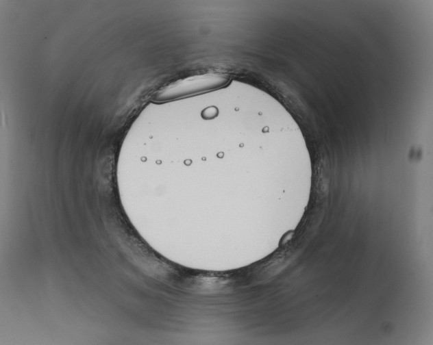 X0000111520509200908111205