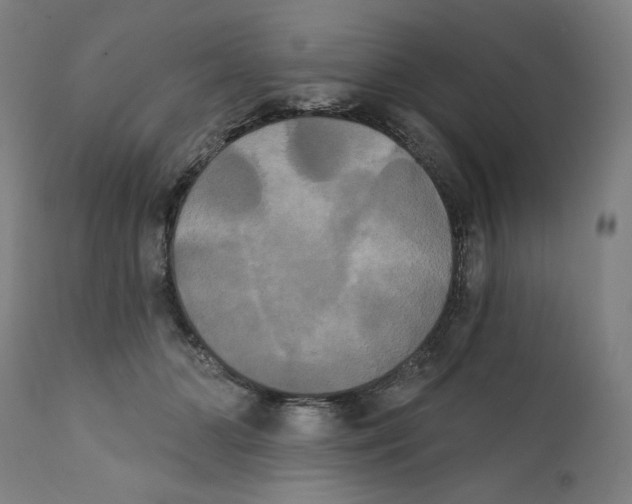 X0000111520510200908111205