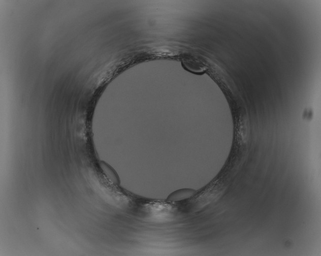 X0000111520512200908111205