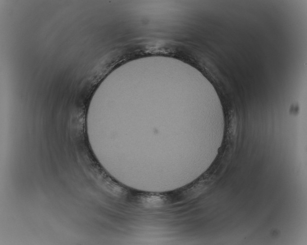 X0000111520513200908111205