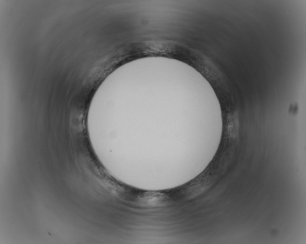 X0000111520514200908111205