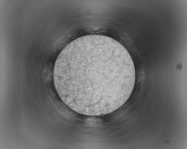 X0000111520515200908111205