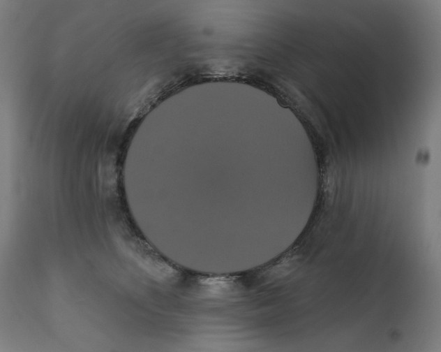 X0000111520516200908111205