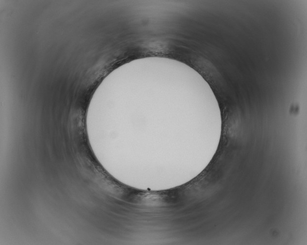 X0000111520518200908111205
