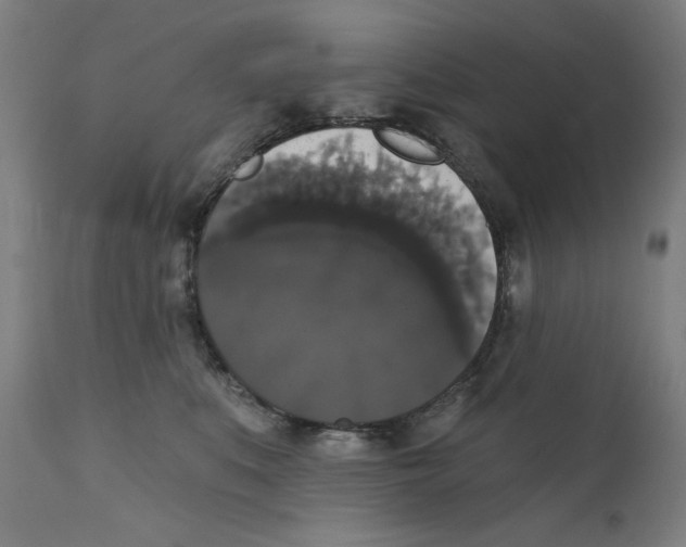 X0000111520519200908111205