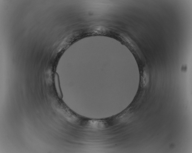 X0000111520520200908111205