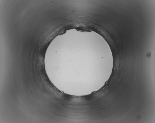 X0000111520521200908111205