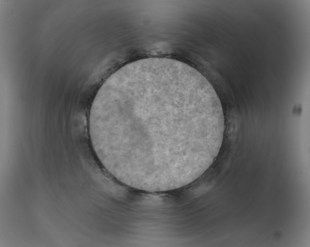 X0000111520523200908111205