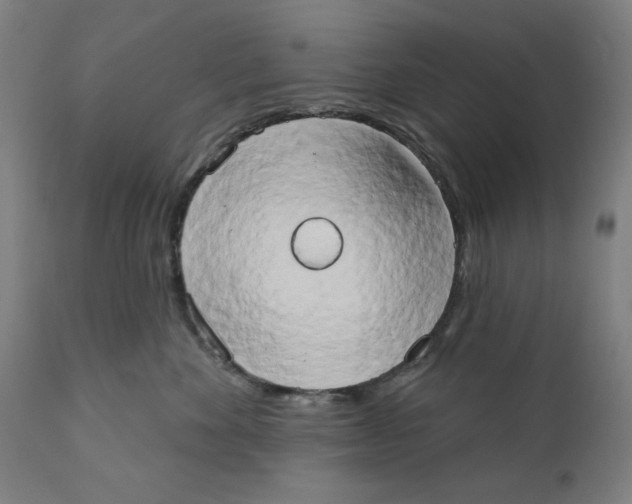 X0000111520524200908111205