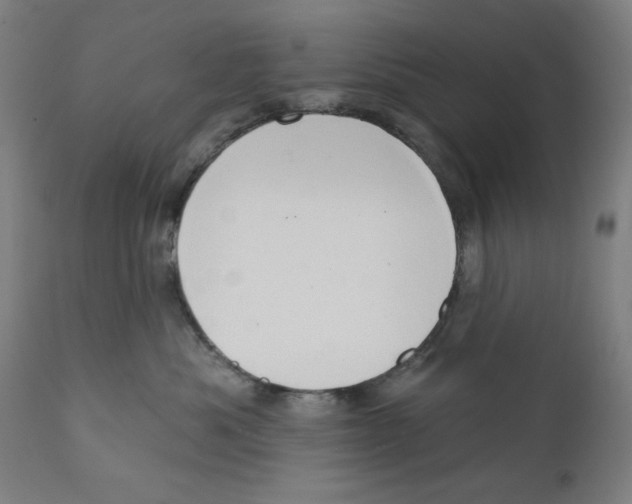 X0000111520525200908111205