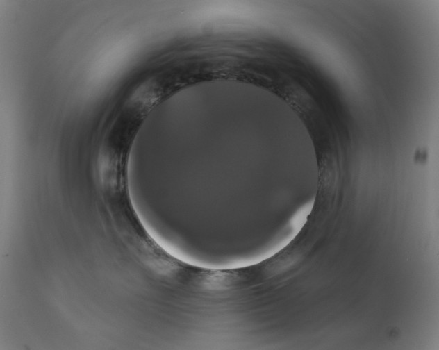 X0000111520527200908111205