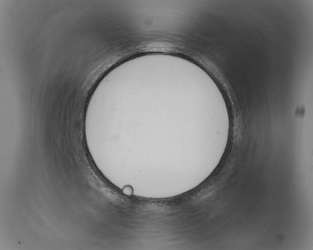 X0000111520529200908111205