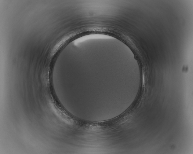 X0000111520531200908111205