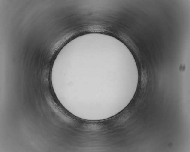 X0000111520533200908111205