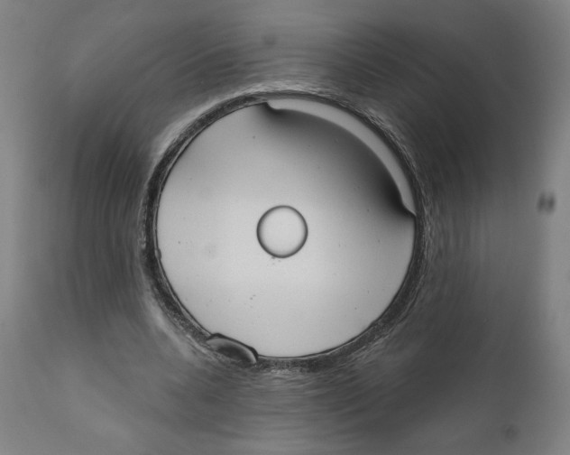 X0000111520536200908111205