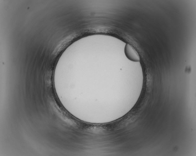 X0000111520537200908111205