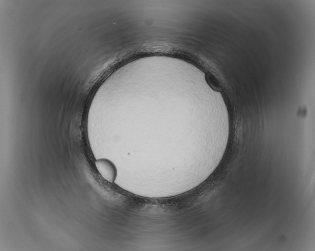 X0000111520538200908111205