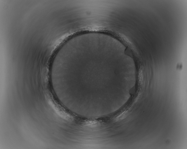 X0000111520540200908111205