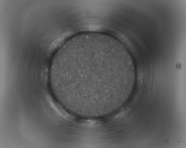 X0000111520542200908111205