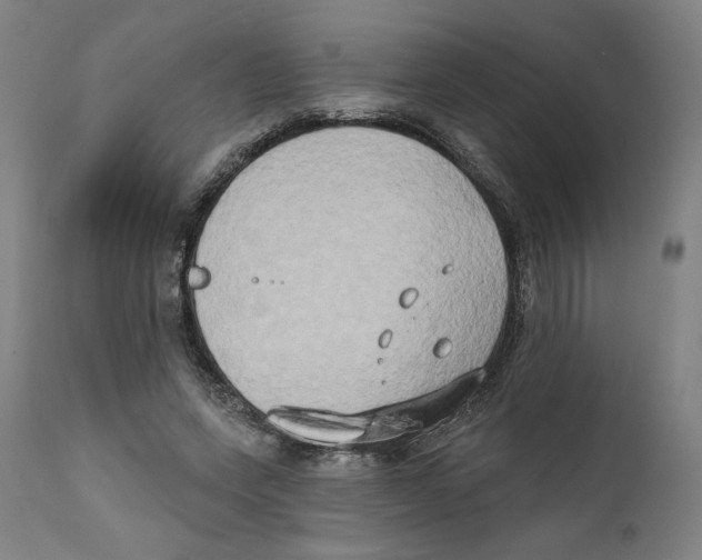 X0000111520543200908111205