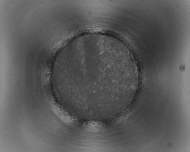 X0000111520546200908111205