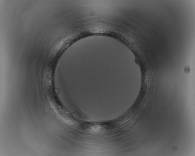 X0000111520547200908111205