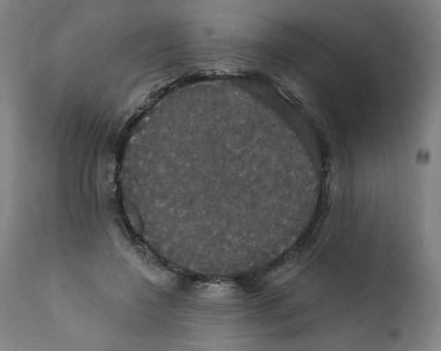 X0000111520548200908111205