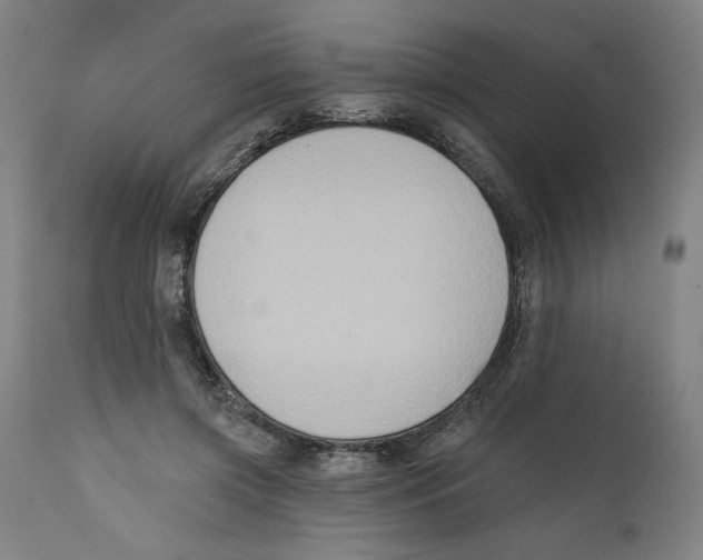X0000111520549200908111205