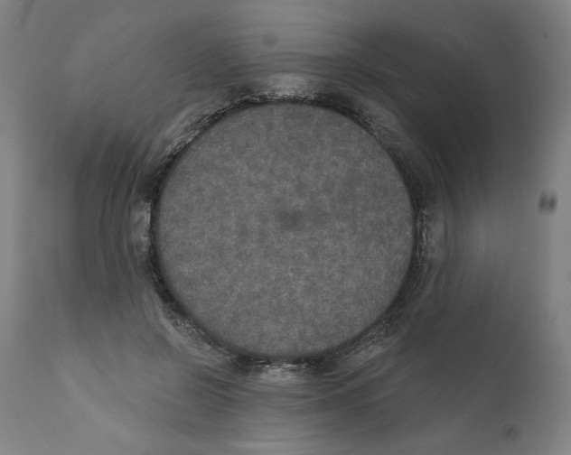X0000111520550200908111205