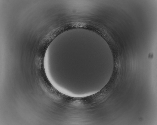 X0000111520551200908111205