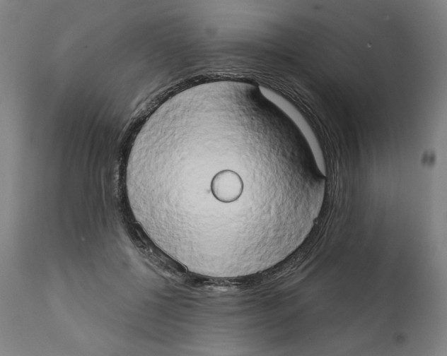 X0000111520552200908111205
