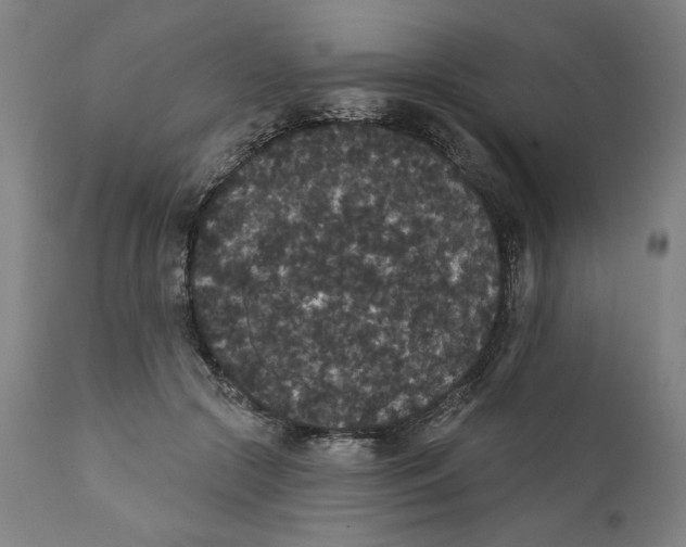 X0000111520553200908111205