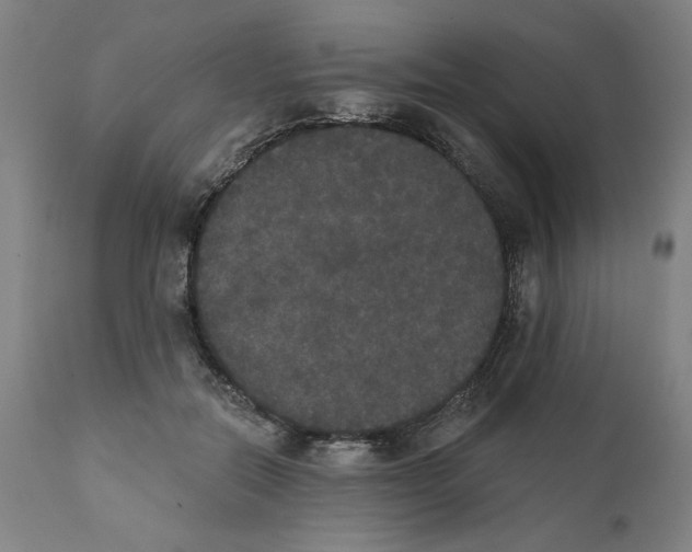 X0000111520554200908111205
