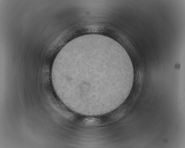 X0000111520557200908111205