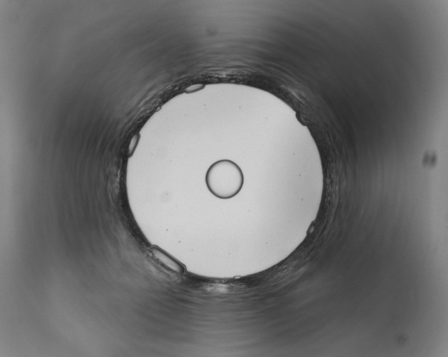 X0000111520558200908111205