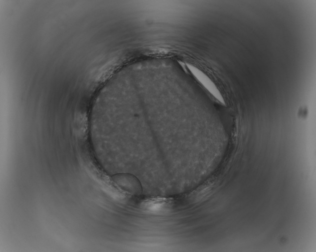 X0000111520563200908111205