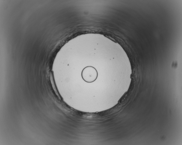 X0000111520564200908111205