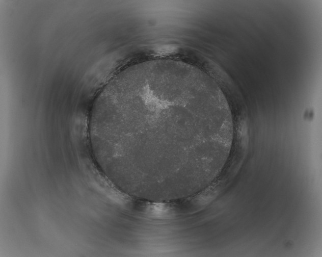 X0000111520565200908111205