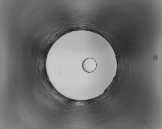 X0000111520566200908111205