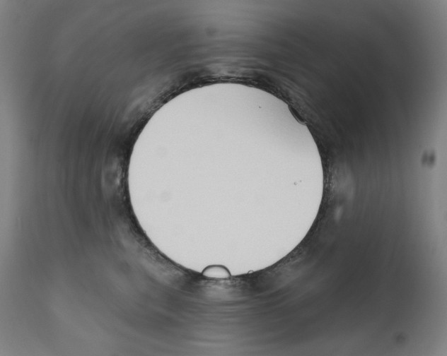 X0000111520567200908111205